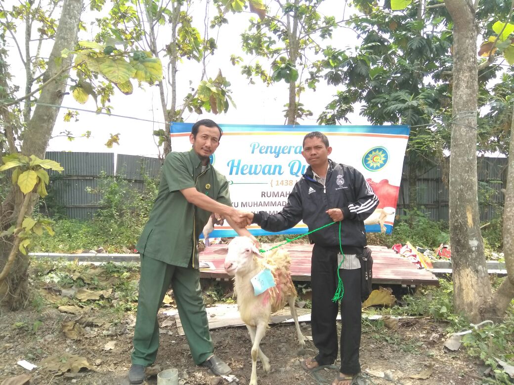 RS PKU Muhammadiyah Yogyakarta Dan Gamping Serahkan Hewan Qurban Ke ...